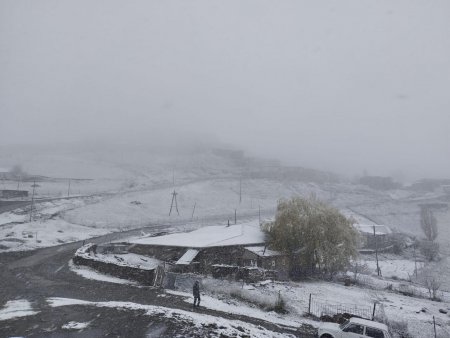 Azərbaycana qar yağır - FOTOlar Azərbaycana qar yağır - FOTOlar