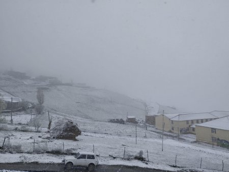 Azərbaycana qar yağır - FOTOlar Azərbaycana qar yağır - FOTOlar